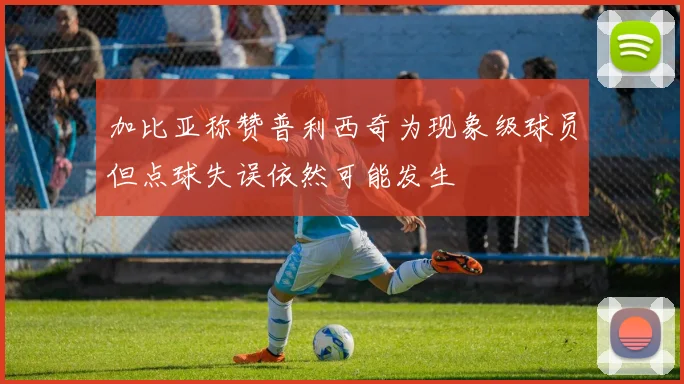 加比亚称赞普利西奇为现象级球员但点球失误依然可能发生